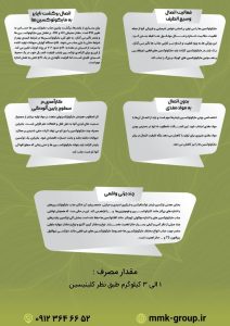 photo_2024-12-17_11-23-23