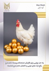 photo_2024-12-17_11-37-37