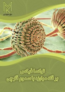 photo_2024-12-17_11-37-49